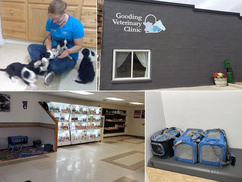 Gooding Veterinary Clinic