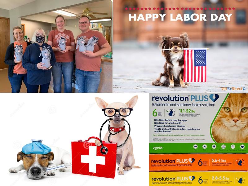 Poteau Valley Veterinary Hospital: White Perry DVM