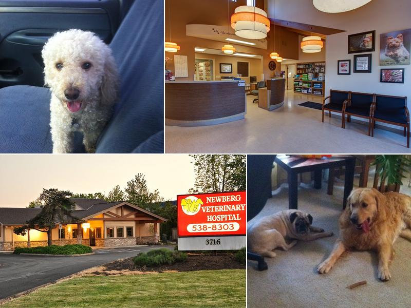 Newberg Veterinary Hospital