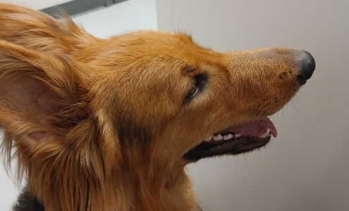 Tidewater Veterinary Hospital 30079 Three Notch Rd, Charlotte Hall Maryland 20622