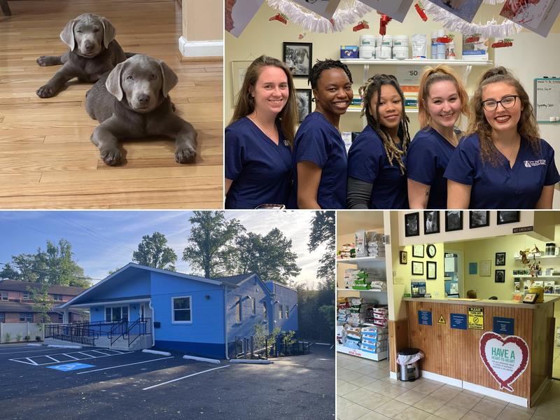 Clinton Veterinary Hospital
