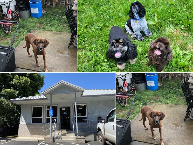 West Valley Veterinary Hospital