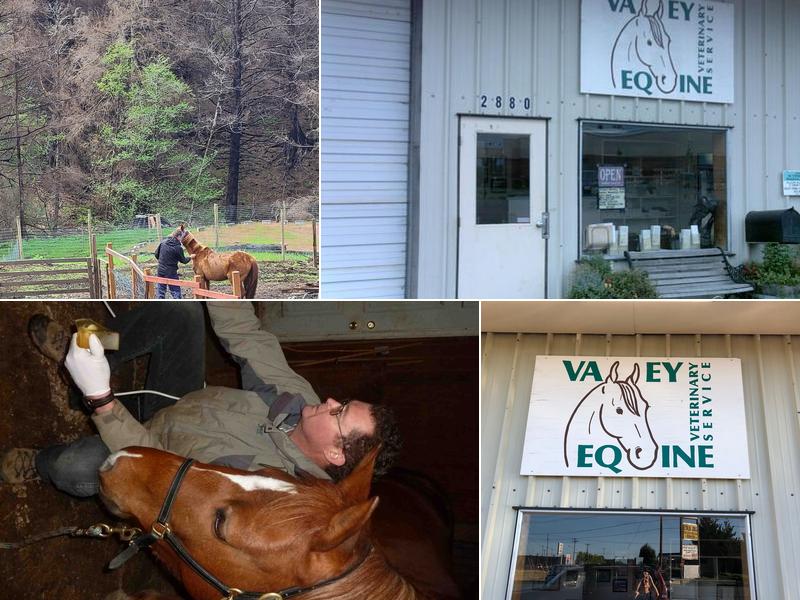 Valley Equine Veterinary Service Inc