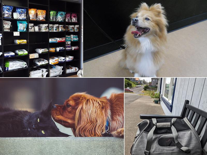 Newport Veterinary Hospital