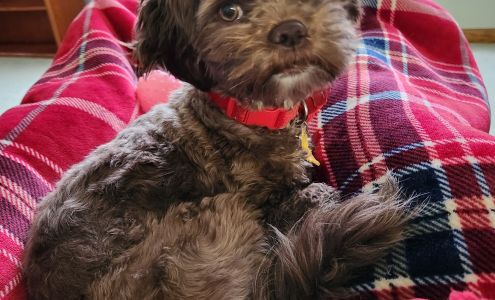 Chippewa Valley Veterinary Durand