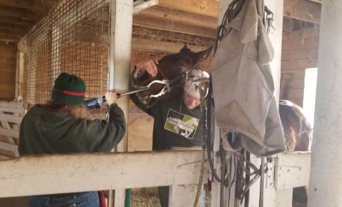 Greener Pastures Vet Clinic Hebron