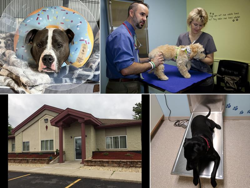 Hanover Veterinary Hospital