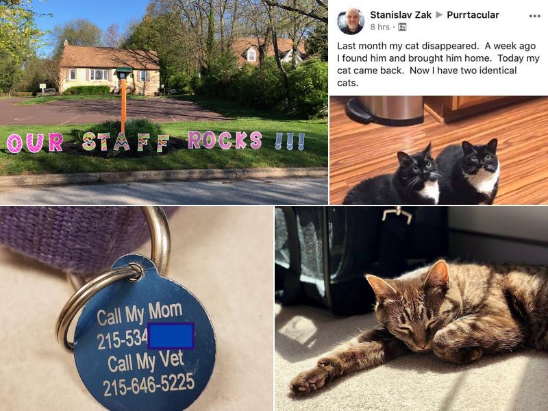 Jeffrey I Berman, VMD, CVA