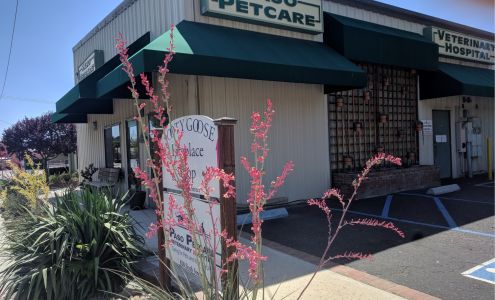 Paso Petcare Veterinary Hospital: Johnson Robert VMD Paso Robles