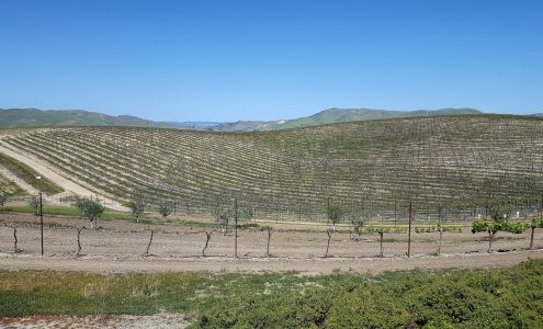 San Miguel Equine Veterinary San Miguel