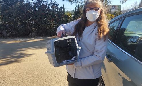 Tarica Stephanie DVM Atascadero