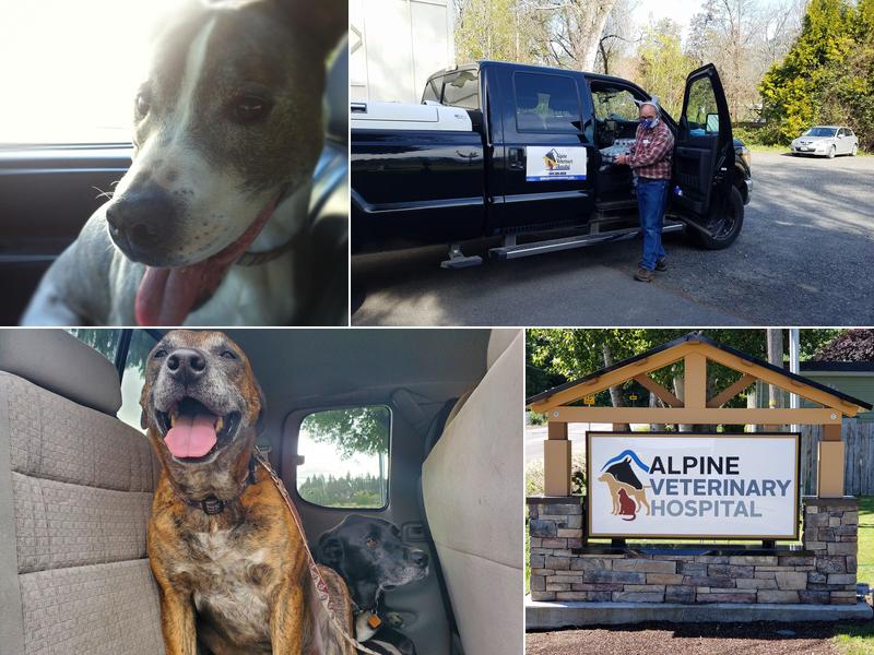 Alpine Veterinary Hospital