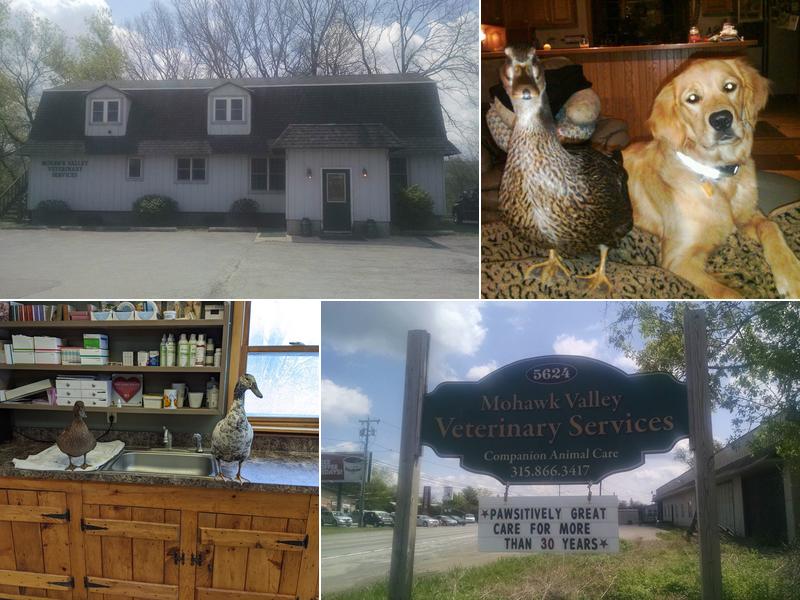 Mohawk Valley Veterinary Services