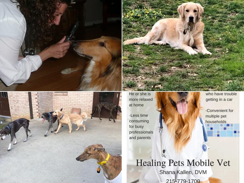 Healing Pets Mobile Vet