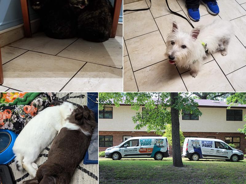 HousePaws Mobile Veterinary Service of Atco