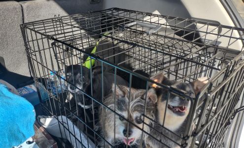 Central Valley Veterinary Clinic