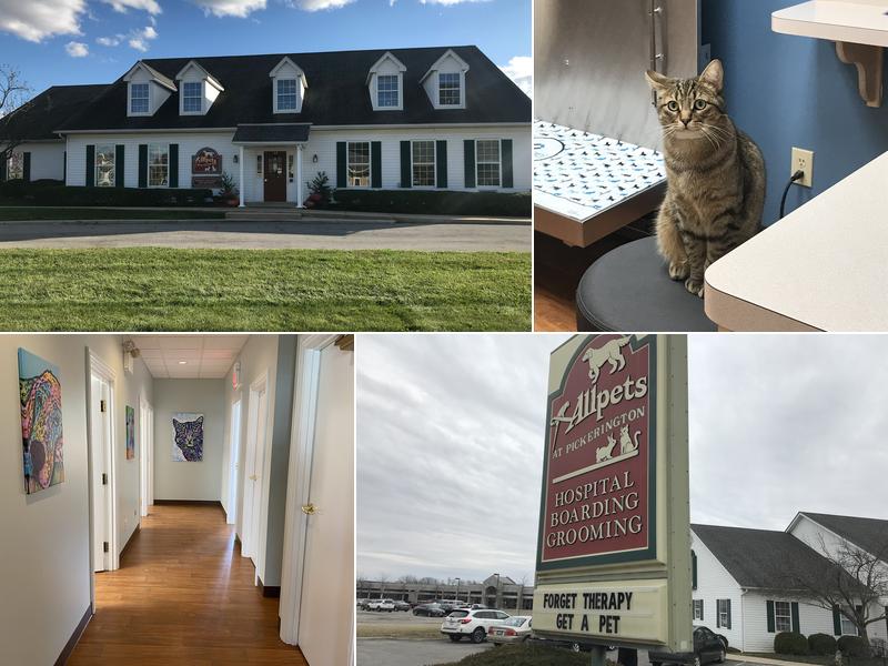 Allpets at Pickerington