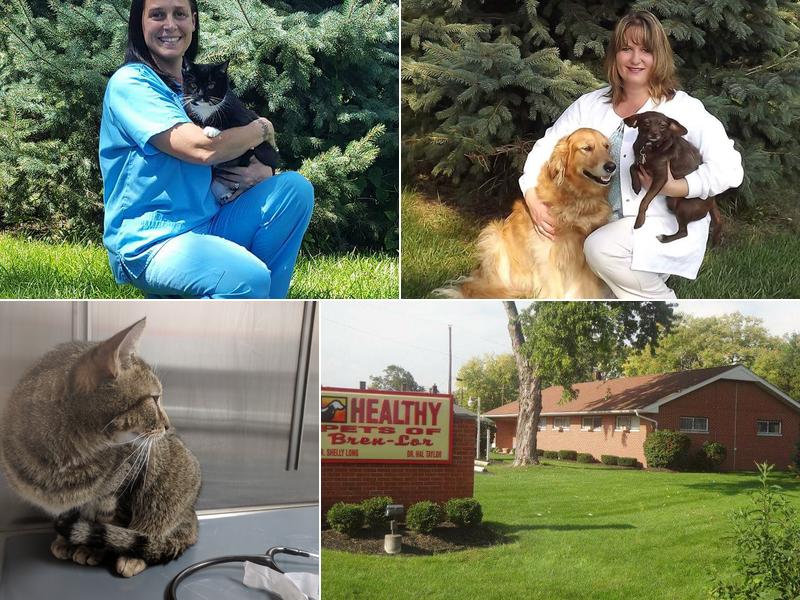 Healthy Pets of Bren-Lor Inc.