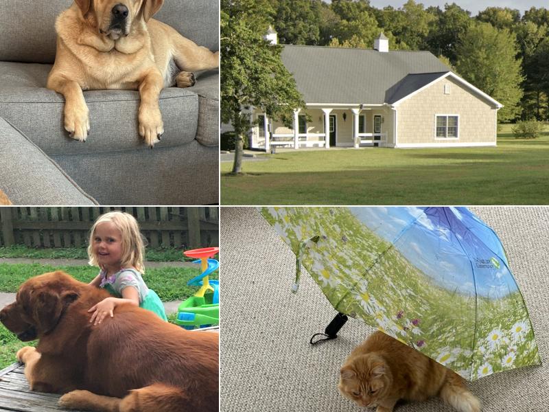 Atlantic Veterinary Service