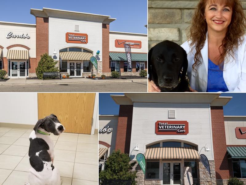 Total Veterinary Care-Grove City