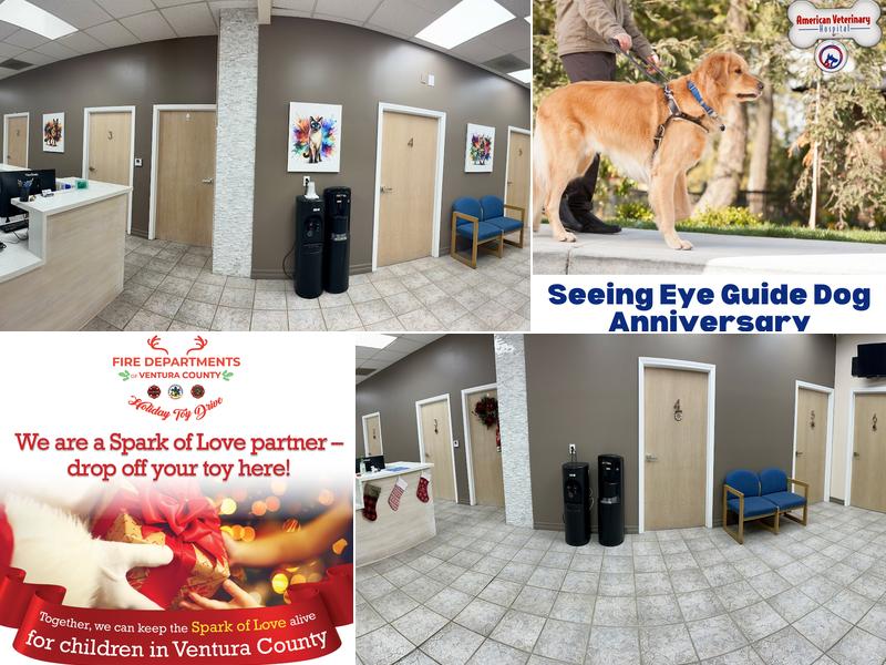 American Veterinary Hospital of Simi Valley