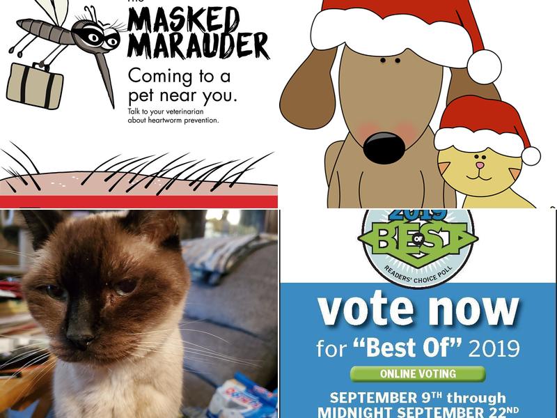 Tehachapi Veterinary Hospital: Freng Joshua DVM