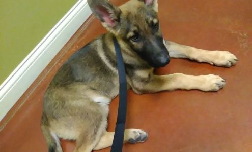 Coffey's Vet Center Columbia