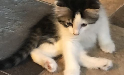 Red Barn Veterinary Service Columbia