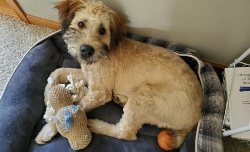 Ravenna Veterinary Clinic Ravenna