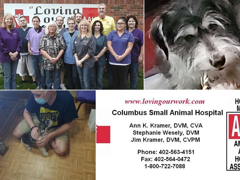 Wesely Stephanie DVM