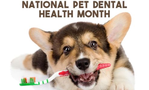 Town & Country Veterinary Clinic