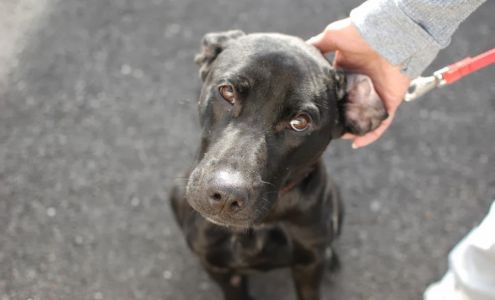 Pet Haven Animal Hospital