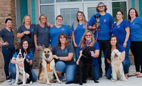 Surf City Pet Hospital 304 Tortuga Ln, Surf City North Carolina 28445