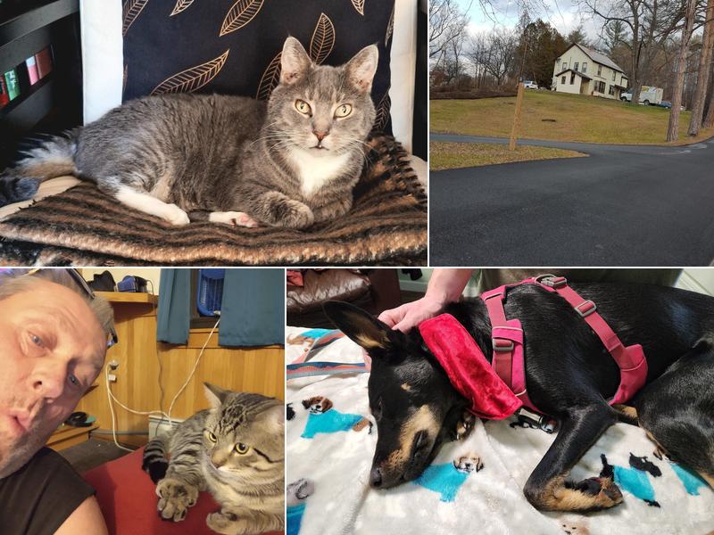 All Points Animal Care