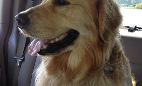 Animed Inc: Moore S a DVM Hubert