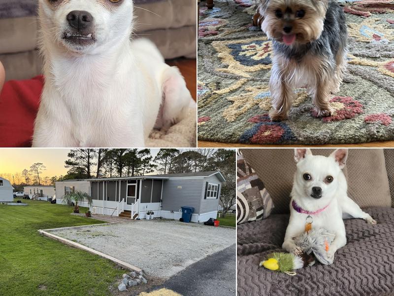 70 West Veterinary Hospital