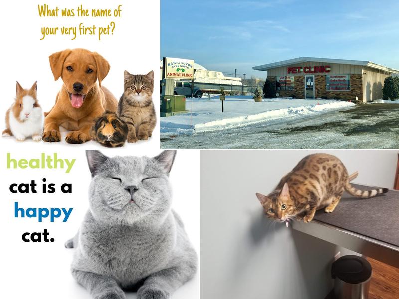 Barrington Oaks North Animal Clinic