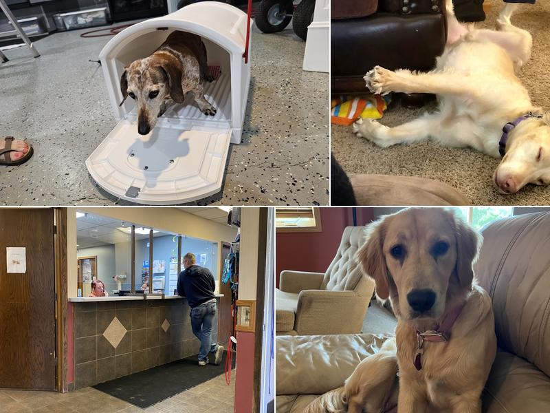 Princeton Pet Hospital