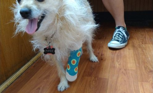 Stage Road Animal Hospital Angier