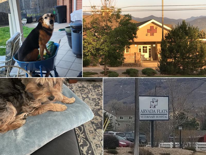 Arvada Flats Veterinary Hospital