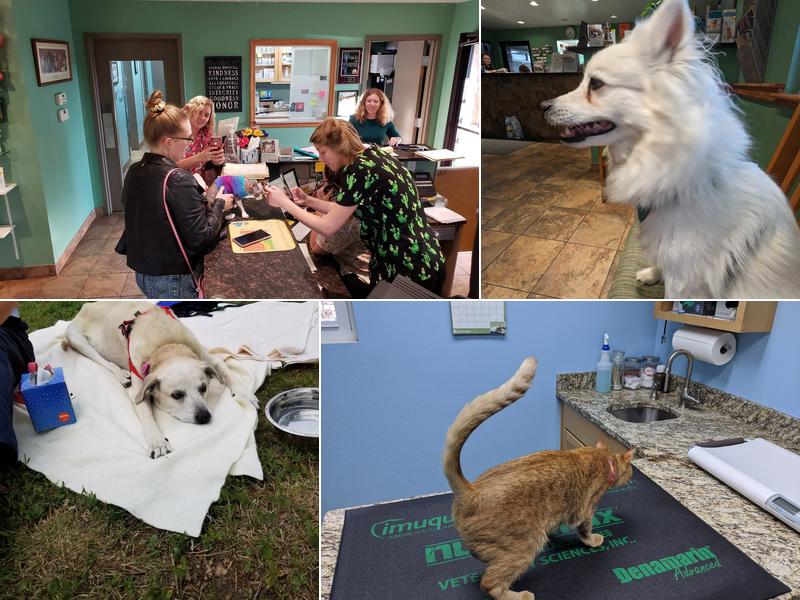 Urban Paw Westminster