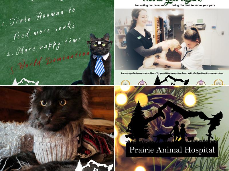 Prairie Animal Hospital: Seefeldt Twila J DVM