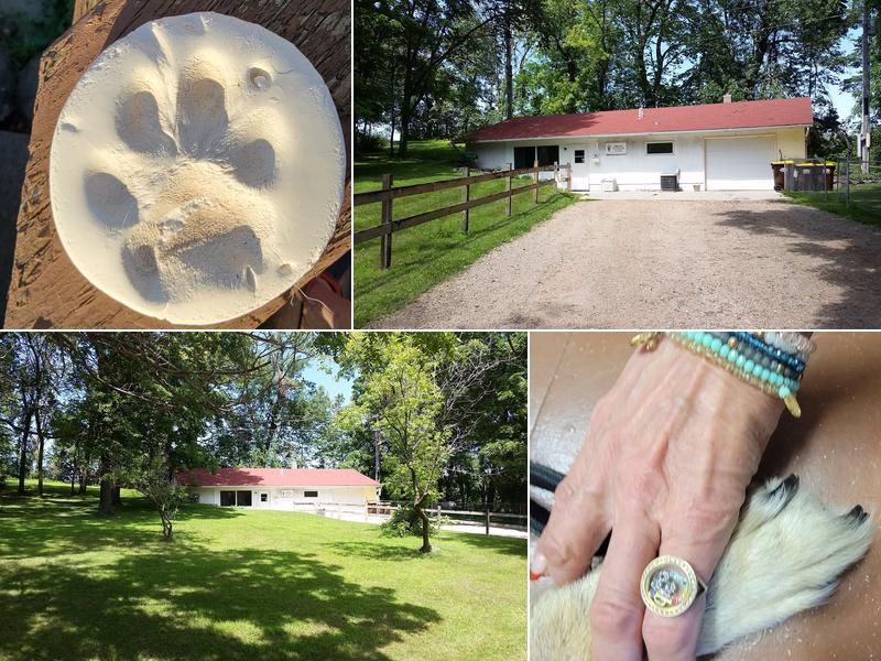 Kreuser Veterinary Clinic