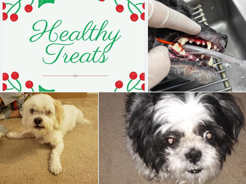 Knight Veterinary Clinic