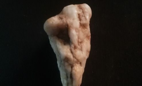 Small Animal Medical Center Mountain Home