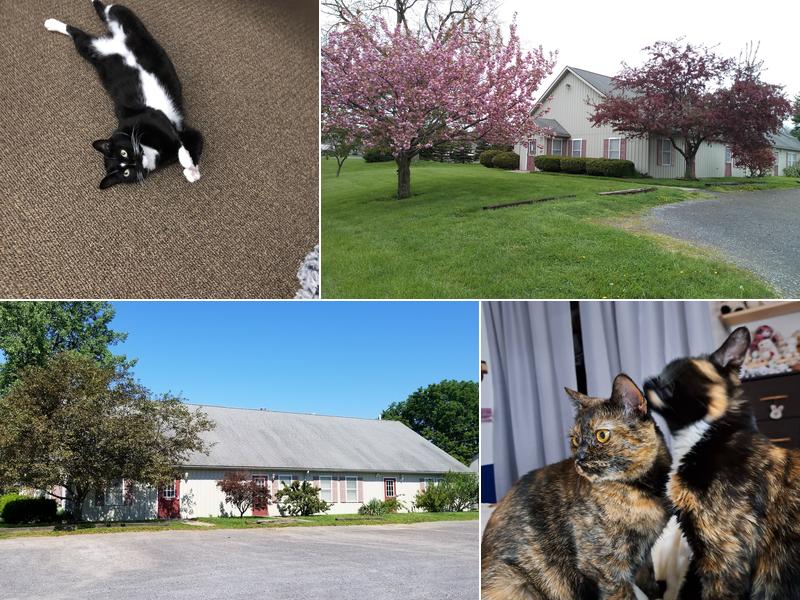 Newark Veterinary Hospital