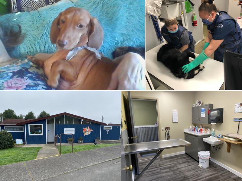 Myrtle Veterinary Hospital