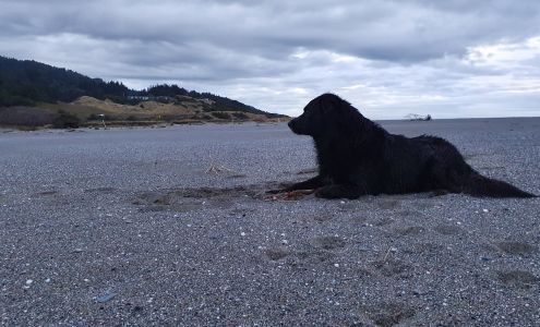 Bandon Veterinary Hospital 900 2nd St SE, Bandon Oregon 97411