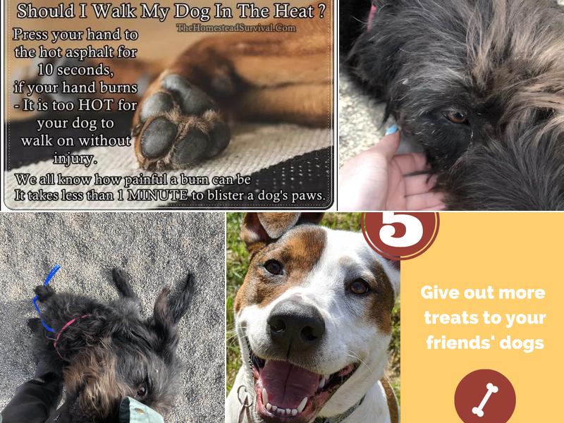 Pendleton Veterinary Clinic: Hall Robert D DVM