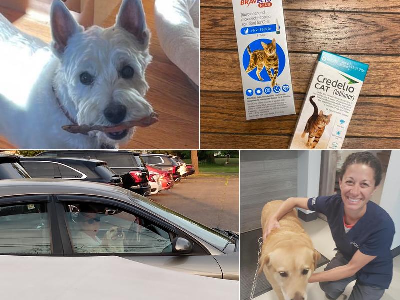 Paw Prints Veterinary Hospital, Dr. Maryann Milford